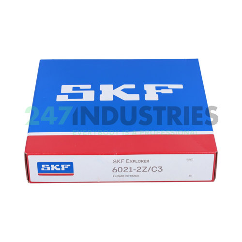 6021-2Z/C3 SKF Image 3