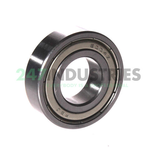 6004ZZ FBJ Image 2