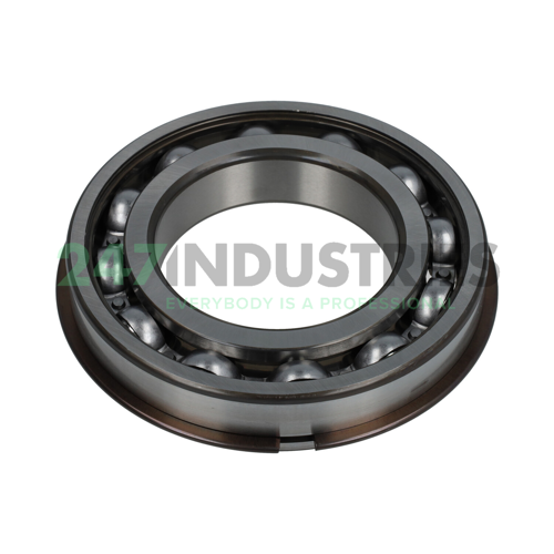 6216NR SKF Image 2