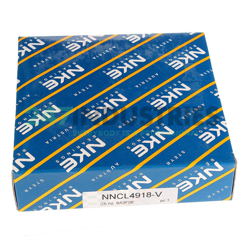 NNCL4918-V NKE Image 3