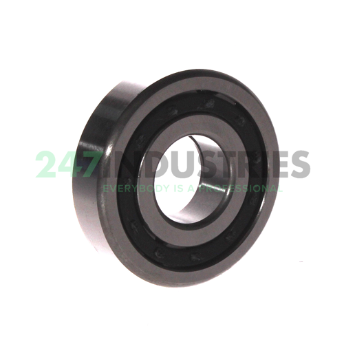 NUP305E C3 FBJ Image 2