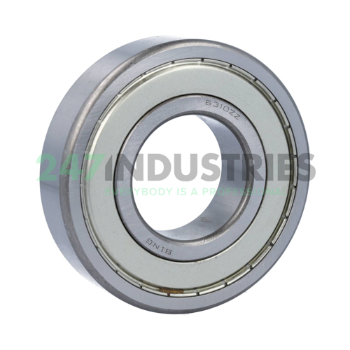 6310ZZ Bing Netherlands