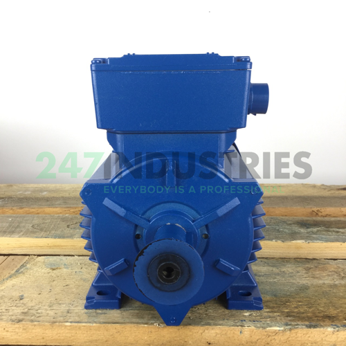 A4C0963A00017 Marelli Motori Image 4