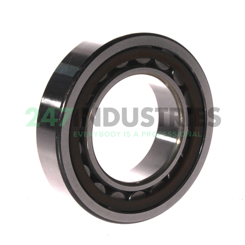 NU210ETC3 NSK Image 2