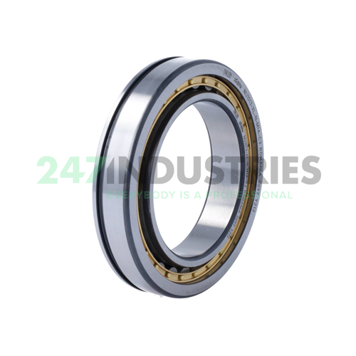 NU1013-XL-N-M1A-C3 FAG