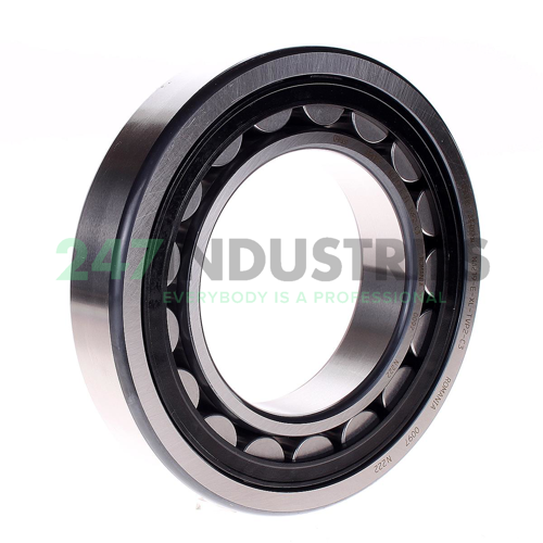 NJ219-E-XL-TVP2-C3 FAG