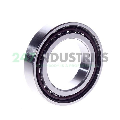 7009CEGA/P4A SKF Image 2