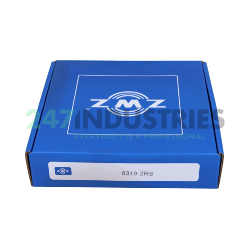 6319 2RS ZWZ Image 3