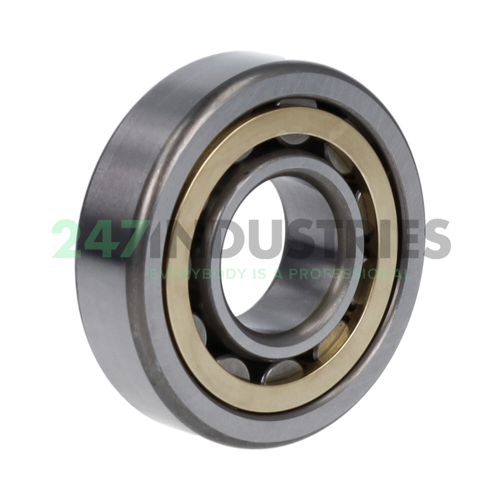 NU305EMC3E NSK Image 2