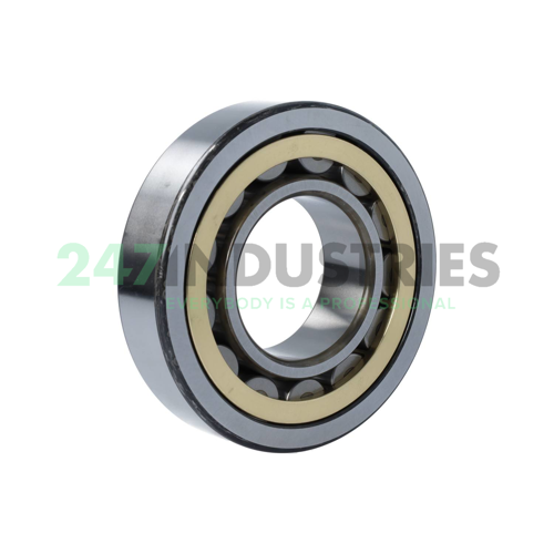 NU313EMC3 NSK Image 2