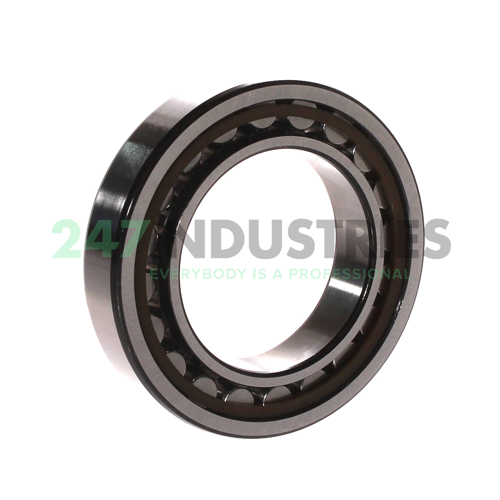 NU1011ECP SKF Image 2