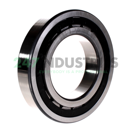 NJ2220-E-TVP2 FAG Image 2