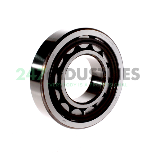 NU.313E.G15J30 SNR