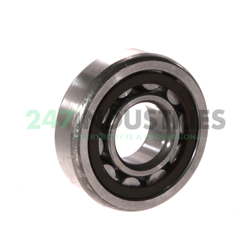 NU304EG Nachi Image 2