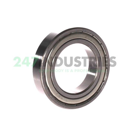 6009ZZ C3 FBJ Image 2