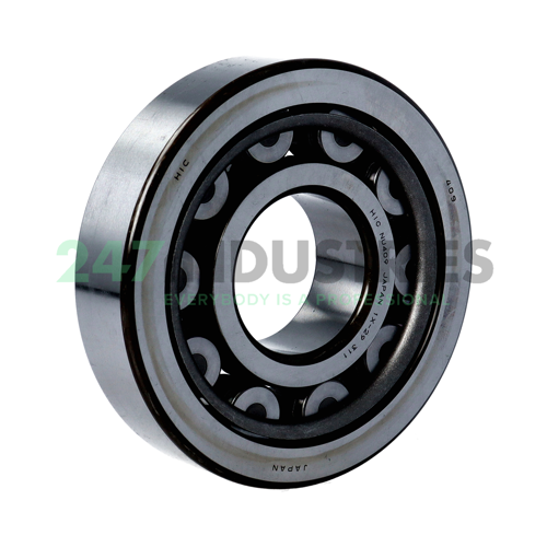SRV.NU409 SKF