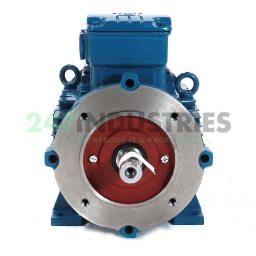 4K32AL3112M2B34 WEG Image 2