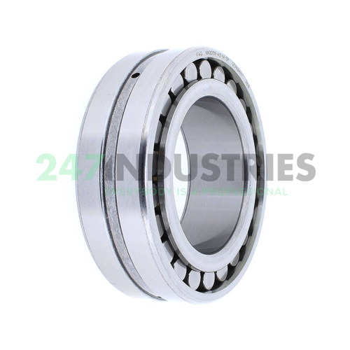 NN3009-AS-M-SP FAG Image 2