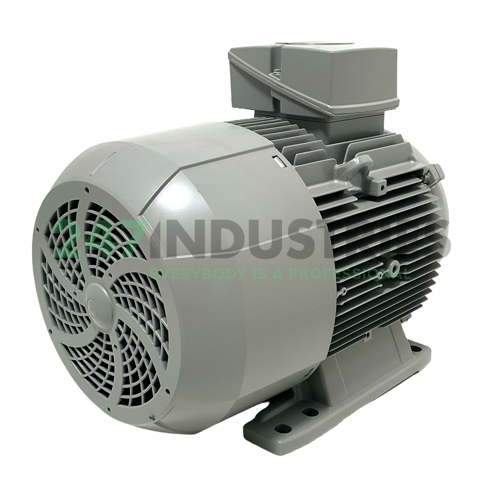 1LE1003-1DB22-2AA4 Siemens Image 3