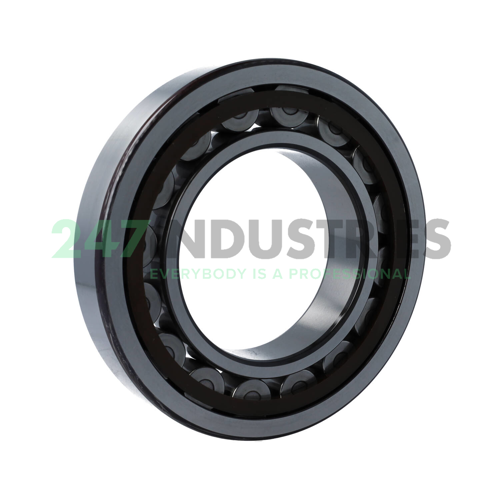 NU221ECP SKF Image 2