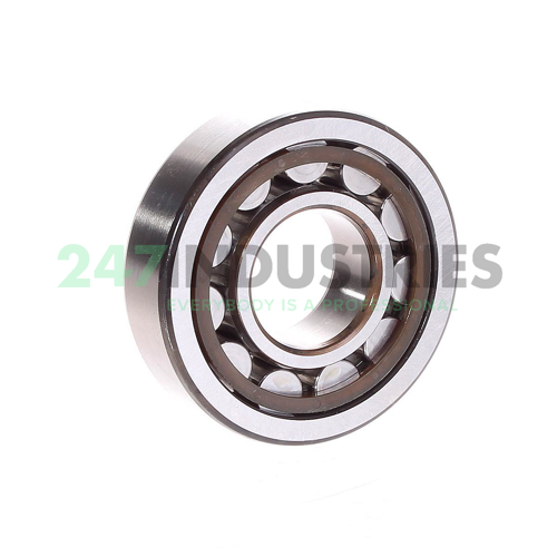 NU305ECP/C3 SKF Image 3