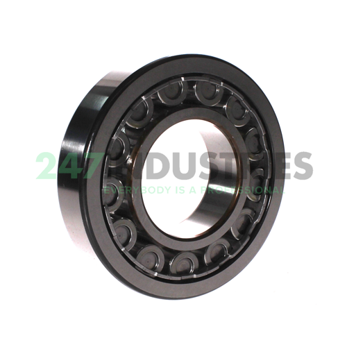 NU316ECJ SKF Image 3