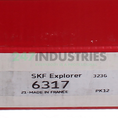 6317 SKF Image 5
