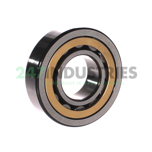 NJ307ECM SKF Image 2