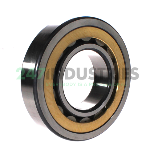 NU319-E-XL-M1A-C3 FAG Image 2