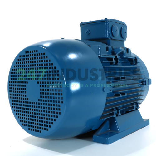 11K32AL3160M/L4B3 WEG Image 3