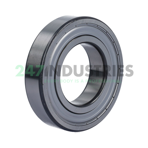 6209-2Z/C3WT SKF Image 2