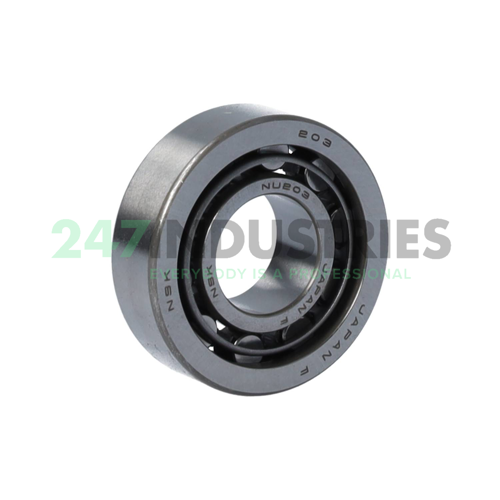 NU203W NSK