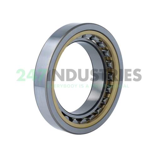 NU1017ML SKF Image 3