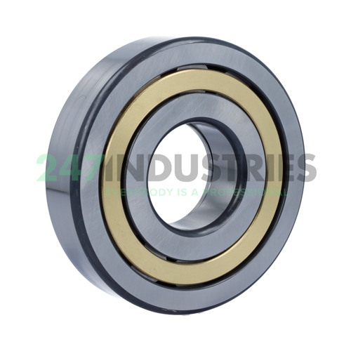 NUP410-XL-M1 FAG Image 2