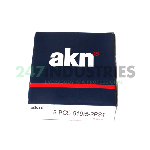 619/5-2RS1 AKN Image 3