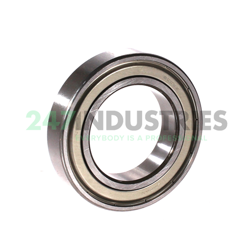 6009ZZCM NSK