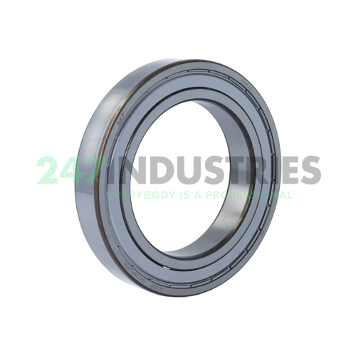 6017-Z SKF