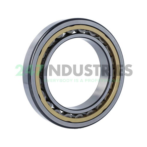 NU1022MLS/P54S1VQ015 SKF Image 2