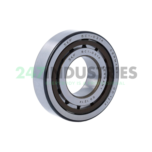 BC1-0314 SKF
