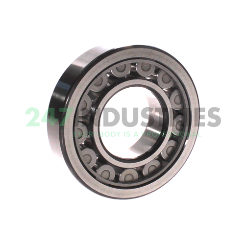 NU310ECJ SKF Image 2