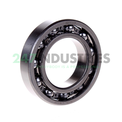 6007 2RS Rollway Image 2