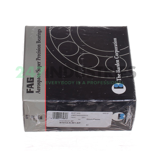 N1013-K-M1-SP FAG