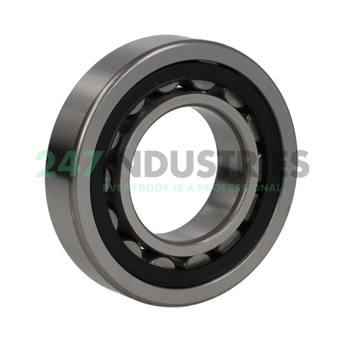 NU208-E-TVP-C3 NKE Image 3