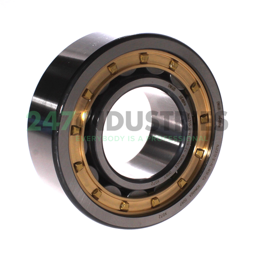 NJ2313-E-XL-M1A-C4 FAG