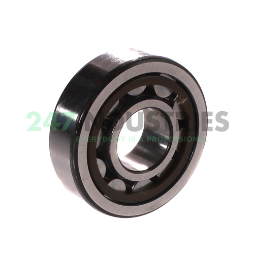 NU304ECP/C3 SKF Image 2