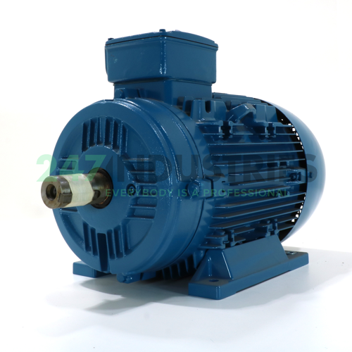 15K32AL3160M/L2B3 WEG