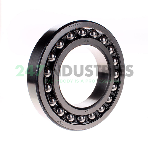 1218 SKF