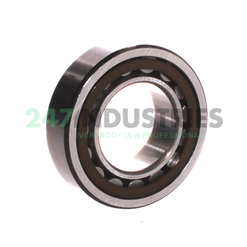 NU2209ETC3 NSK Image 2