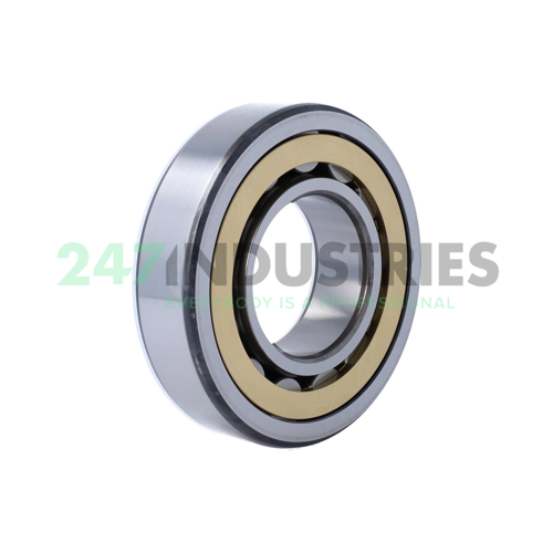 NJ313ECM SKF Image 2