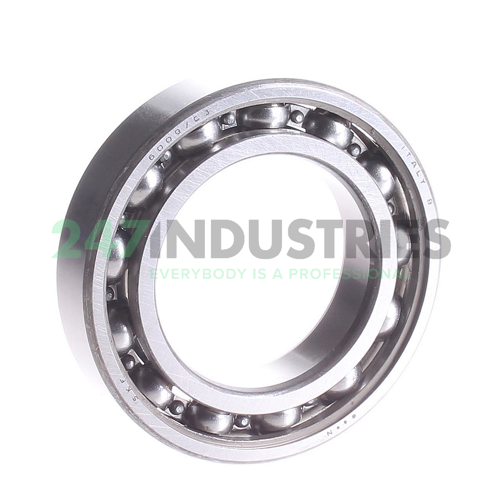 6009/C3 SKF Image 1